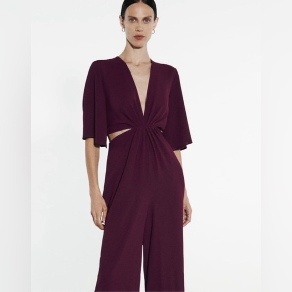 Zara Pants - Zara Plum Jumpsuit with Cutout Detail
